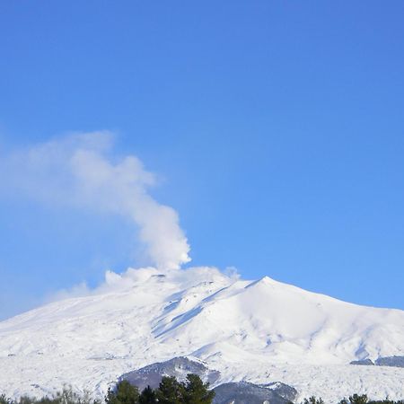 火山腹地住宿加早餐酒店 尼科洛西 外观 照片